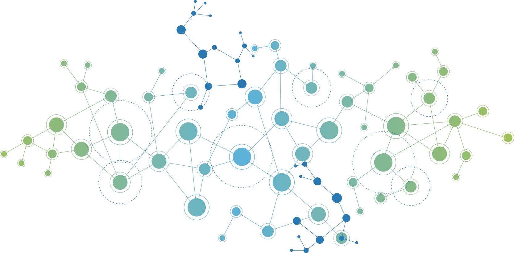 /assets/images/Network-diagram.png